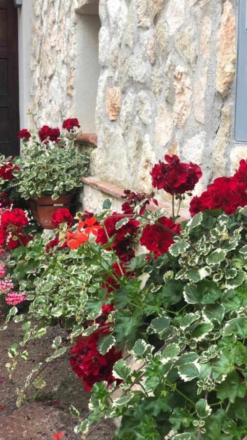 La Casetta Di Elena Lamezia Terme Extérieur photo