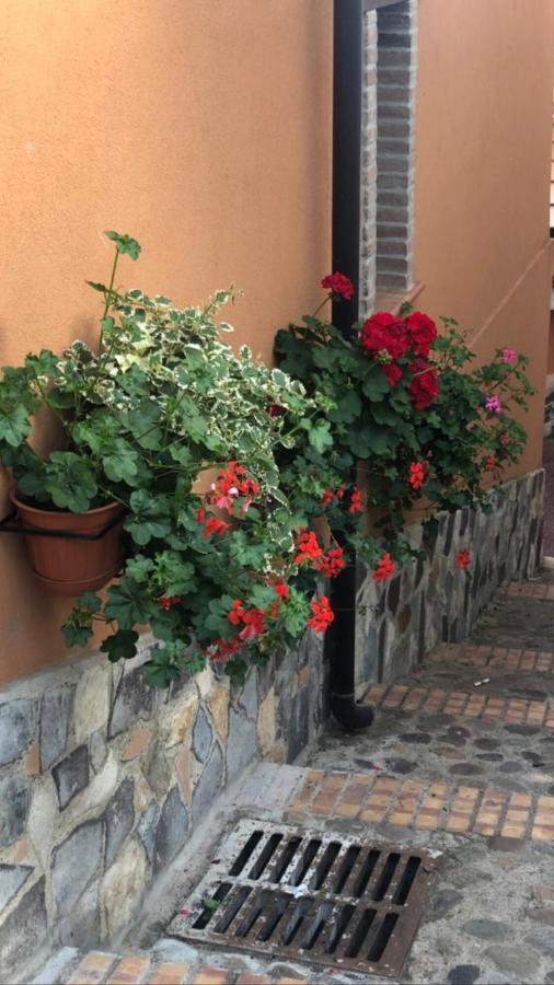 La Casetta Di Elena Lamezia Terme Extérieur photo